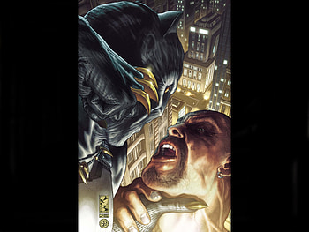 Black Panther, comic, fantasy, art HD wallpaper