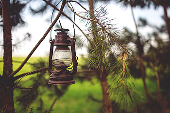 Miscellanea, Miscellaneous, Branches, Lamp, Lantern HD wallpaper