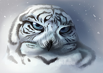 Tiger owl, white, tiger, bird, owl, fantasy, into the bear, face, bufnita, intothebear HD wallpaper
