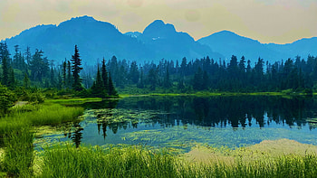 Northern Washington State, landscape, trees, water, forest, reflections, usa, lake HD wallpaper