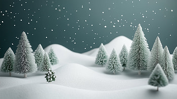 : Enchanting Pine Forest in a Snowy Christmas Wonderland, Christmas, pine, snow HD wallpaper