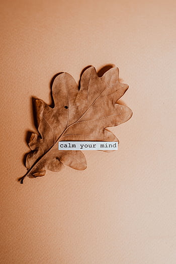 A calming oak leaf on a warm background with the message 'Calm your mind.' Perfect for mindfulness themes. HD phone wallpaper