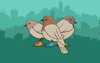 Birds, Pigeons, Vector, Drawing HD wallpaper