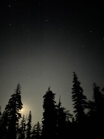 Star, sky, moon, moonlight, stars HD phone wallpaper
