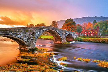 Autumn vibes, Ivy-covered house, Welsh charm HD wallpaper
