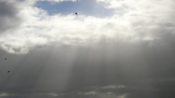 Flight Into, birds, washington, clouds, sky, , water, sun, sun rays HD wallpaper