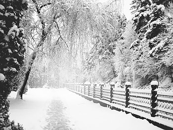 Wintertime, season, path, snow, fence, trees HD wallpaper