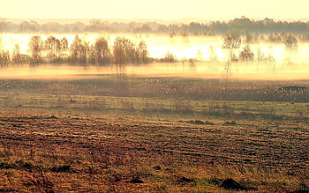 Nature, Fog, Field, Morning, Awakening HD wallpaper