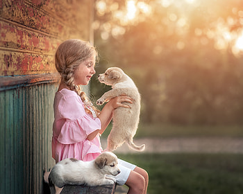 Girl and her puppy, dog, animal, puppy, girl HD wallpaper