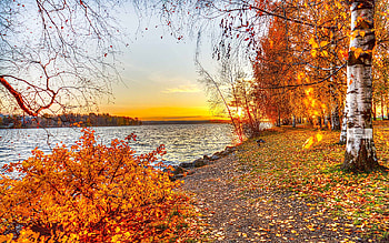 Landscape, Rivers, Trees, Sunset, Autumn HD wallpaper