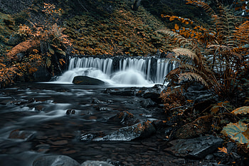 Nature, Grass, Stones, Rocks, Waterfall, Flow, Stream HD wallpaper