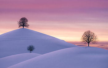A beautiful winter day at Hirzel, Switzerland, hills, Snow, clouds, trees, sky, sunset HD wallpaper