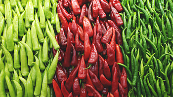 Colorful vegetables, Food , Vibrant plates, Culinary inspiration HD wallpaper
