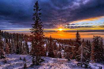 Winter Sun, winter, snowy, landscape, snow, clouds, nature, sky, winter time, sun, sunset HD wallpaper