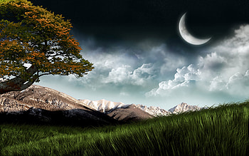 Beautiful d Nature For Computer and Smart HD wallpaper