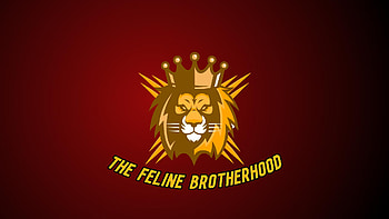 Feline Brotherhood, discord, cats, twitch, Feline HD wallpaper