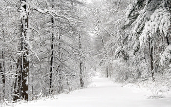 Landscape, Winter HD wallpaper