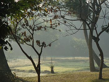 Winter morning, Bangladesh , Stunning landscapes, Cold weather HD wallpaper