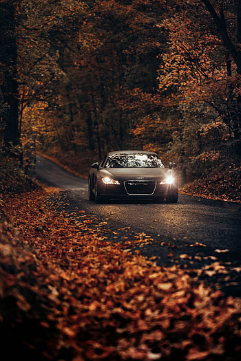Audi, Autumn, Cars, Road, Traffic, Movement, Asphalt, Audi Tt HD phone wallpaper