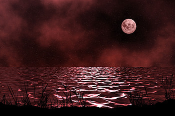 Nature, Sea, Night, Waves, Moon, Dim HD wallpaper