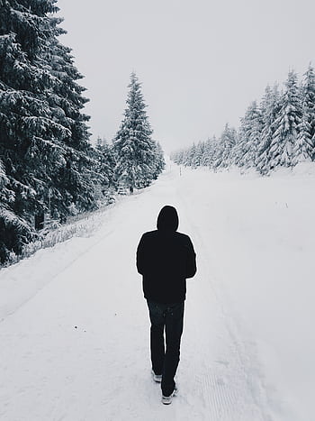 A solitary figure in black walks through a snowy forest landscape during winter. HD phone wallpaper