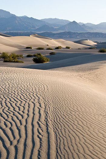 Nature, Waves, Sand, Desert, Rocks, Traces HD phone wallpaper