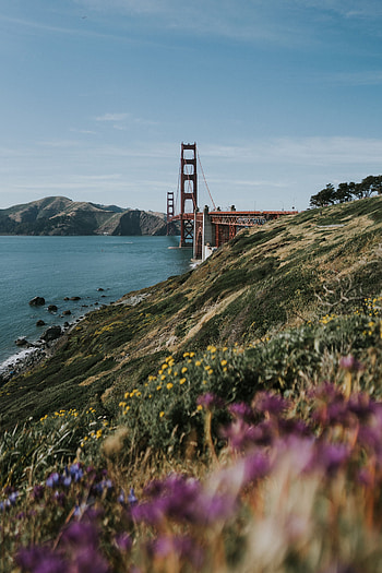 Cities, Water, Coast, Hills, Bridge, San Francisco HD phone wallpaper