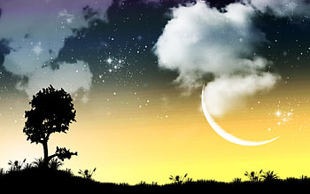 Lua, cg, moon, nature, stars, tree HD wallpaper