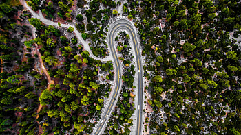 Nature, Trees, View From Above, Road, Forest HD wallpaper