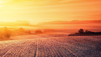 Snow Field , snow, field, nature HD wallpaper