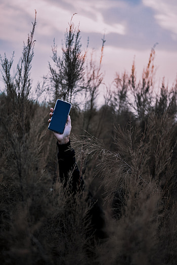 Grass, Hand, Miscellanea, Miscellaneous, Tele, Smart HD phone wallpaper