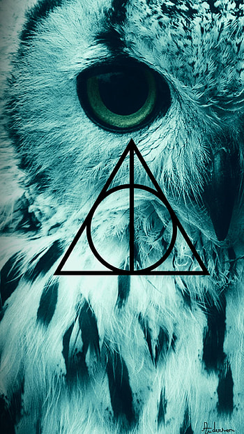 Harry Potter, eye, feather, owl, bird, Harry_Potter HD phone wallpaper