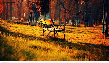 Nature Group Of Nature ) HD wallpaper