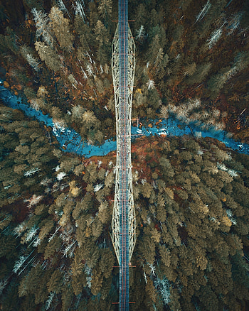 Rivers, View From Above, Miscellanea, Miscellaneous, Forest, Bridge HD phone wallpaper