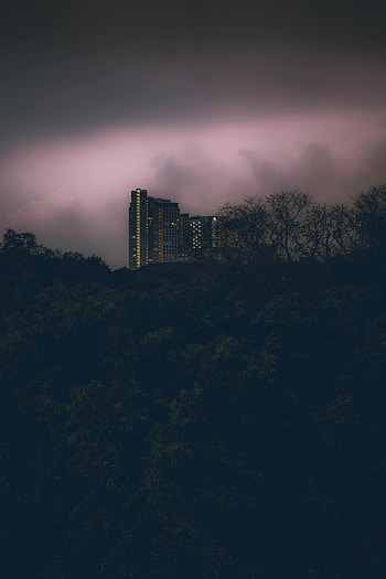 Nature, Clouds, Bush, Building, Mainly Cloudy, Overcast HD phone wallpaper