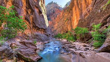 Zion National Park, , , mobile HD wallpaper