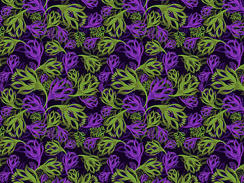 Flowers, Art, Pattern, Ornament HD wallpaper