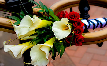 Flowers, Roses, Registration, Typography, Bouquet, Calla, Callas, Handsomely, It's Beautiful HD wallpaper