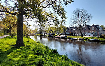 Spring in Netherlands, trees, canal, Netherlands, spring, houses HD wallpaper