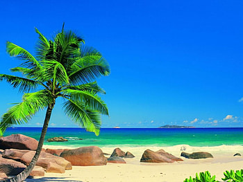 Summer get away, blue sky, summer, sands, nature, rocks, tree, beach HD wallpaper
