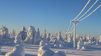 Winter, clean sky, trees, island, landscape, electric towers, snowfall HD wallpaper