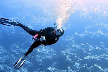 Learn to dive, Infinity diving safari, Underwater exploration, Dive training HD wallpaper