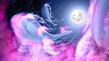 Whales Dancing Under Moonlight, whale, sky, purple, moon, moonlight, stars, artist, artwork, art, digital-art, artstation HD wallpaper