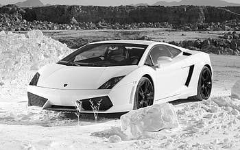 Black n White, white, black, lamborgini, car HD wallpaper