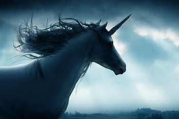 Become industry unicorn, Stand out, Unique offering, Exceptional success HD wallpaper