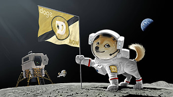 Moon Doge Â· dogecoin HD wallpaper