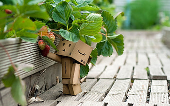 Strawberry, Grass, Miscellanea, Miscellaneous, Berry, Stroll, Cardboard Robot, Wild Strawberries, Danboard HD wallpaper