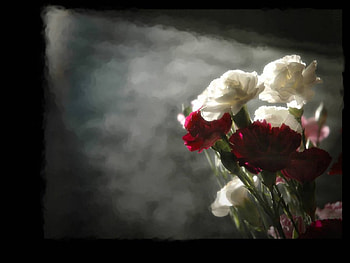 Silent love, flowers, love HD wallpaper