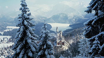 Neuschwanstein Castle HD wallpaper