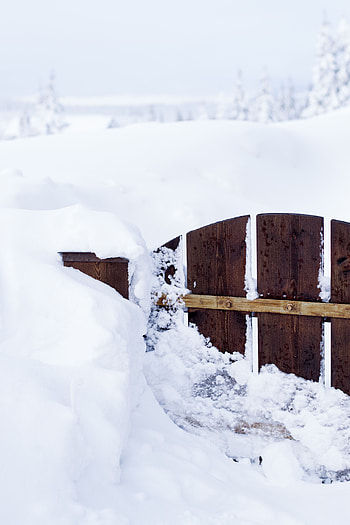 Winter, Nature, Snow, Fence, Gate, Wicket HD phone wallpaper